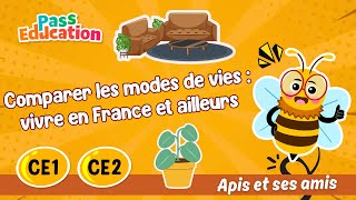 Comparer les modes de vies - Fiches vivre en France, vivre ailleurs - Vidéo pédagogique - Apis & ses amis : Primaire 2 - PDF à imprimer