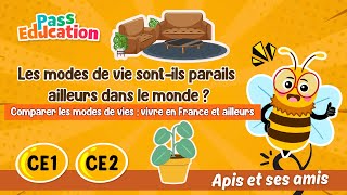 Les modes de vie sont - ils parails ailleurs dans le monde ? - Vidéo pédagogique - Apis & ses amis : Primaire 2, 3
