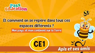 Et comment on se repère dans tous ces espaces différents ? - Vidéo - Apis & ses amis : Primaire 2