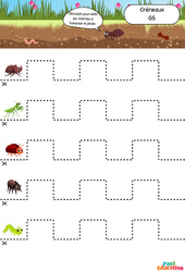 Les insectes - Créneaux - Apprendre à découper : Maternelle 2 - Cycle 1 - PDF à imprimer