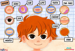 The Face - Cours, Leçon/Flashcard - Apprends l'anglais avec Kelly and James : Maternelle 2, [Primaire] - PDF à imprimer