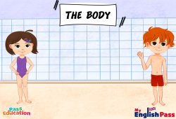 The body - Vocabulaire - Vidéo interactive - Apprends l'anglais avec Kelly and James : Maternelle 2, [Primaire]