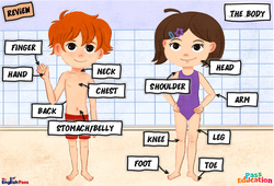 The body - Vocabulaire - Cours, Leçon/Flashcard - Apprends l'anglais avec Kelly and James : Maternelle 2, [Primaire] - Cycle 1 - PDF à imprimer