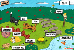 Animals (Pets) - Cours, Leçon/Flashcard - Apprends l'anglais avec Kelly and James : Maternelle 2, [Primaire] - PDF à imprimer