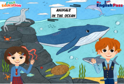 Animals in the Ocean - Vocabulaire - Vidéo interactive - Apprends l'anglais avec Kelly and James : Maternelle 2, [Primaire]