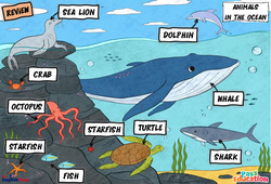 Animals in the Ocean - Vocabulaire - Cours, Leçon/Flashcard - Apprends l'anglais avec Kelly and James : Maternelle 2, [Primaire] - Cycle 1 - PDF à imprimer