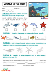 Animals in the Ocean - Vocabulaire - Exercices - Apprends l'anglais avec Kelly and James : Maternelle 2, [Primaire] - Cycle 1 - PDF à imprimer