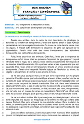 Transparence - L’Arbre des possibles - Bernard WERBER - Mini - brevet français - Sujet inédit : Secondaire 3 - Cycle 4 - PDF à imprimer