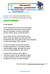 Configuration du dernier rivage - Michel Houellebecq - Mini - brevet français - Sujet inédit : Secondaire 3 - Cycle 4 - PDF à imprimer