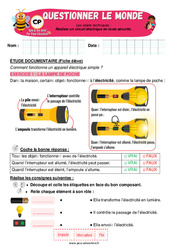 Réaliser un circuit électrique en toute sécurité - Exercices - Apis & ses amis : Primaire 1 - Cycle 2 - PDF à imprimer