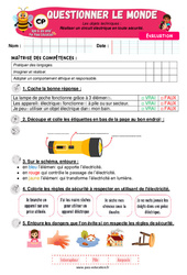 Réaliser un circuit électrique en toute sécurité - Examen Evaluation - Apis & ses amis : Primaire 1 - Cycle 2 - PDF à imprimer
