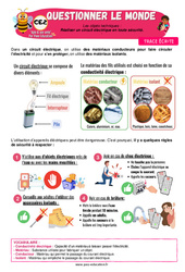 Réaliser un circuit électrique en toute sécurité - Cours, Leçon - Apis & ses amis : Primaire 3 - Cycle 2 - PDF à imprimer