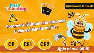 Comment allumer une ampoule si elle est loin de la pile ? - Vidéo pédagogique - Apis & ses amis : Primaire 1, 2, 3