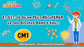 Est - ce qu’on peut récupérer le sel dissous dans l’eau ? Dissolution et évaporation - Vidéo pédagogique - Edith Eprouvette : Primaire 4