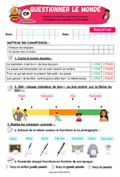 L’évolution de la société au fil du temps - Examen Evaluation - Apis & ses amis : Primaire 1 - PDF à imprimer
