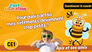 Pourquoi parfois mes vêtements deviennent trop petits ? - Vidéo - Apis & ses amis : Primaire 2