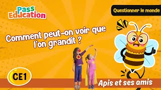 Comment peut - on voir que l’on grandit ? - Vidéo - Apis & ses amis : Primaire 2
