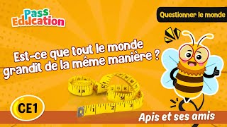 Est - ce que tout le monde grandit de la même manière ? - Vidéo - Apis & ses amis : Primaire 2