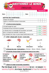 Le mouvement corporel - Examen Evaluation - Apis & ses amis : Primaire 1 - PDF à imprimer