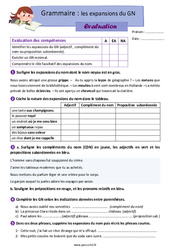Les expansions du groupe nominal (GN) - Examen Evaluation avec la correction : Primaire 5 - PDF à imprimer