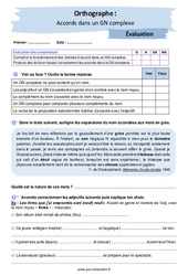 Accords dans un GN complexe - Examen Evaluation avec les corrigés : Secondaire 2, 3 - PDF à imprimer