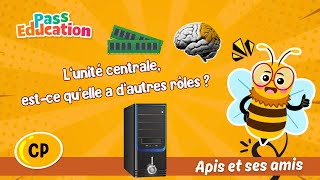 L’unité centrale, est - ce qu’elle a d’autres rôles ? - Vidéo - Apis & ses amis : Primaire 1