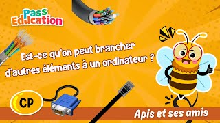 Est - ce qu’on peut brancher d’autres éléments à un ordinateur ? - Vidéo - Apis & ses amis : Primaire 1