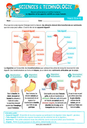 La digestion et les apports nutritifs au corps humain - Cours, Leçon - Edith Eprouvette : Primaire 5 - PDF à imprimer