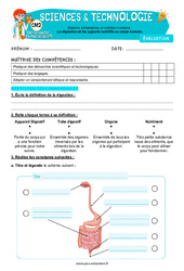La digestion et les apports nutritifs au corps humain - Examen Evaluation - Edith Eprouvette : Primaire 5 - PDF à imprimer