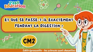 Et que se passe - t - il exactement pendant la digestion ? - Vidéo - Edith Eprouvette : Primaire 5