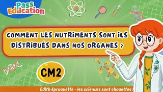 Comment les nutriments sont - ils distribués dans nos organes ? - Vidéo - Edith Eprouvette : Primaire 5