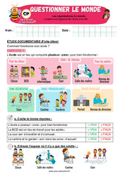 L’espace est organisé de l’école à la ville - Exercices - Apis & ses amis : Primaire 1 - PDF à imprimer