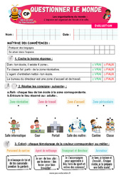 L’espace est organisé de l’école à la ville - Examen Evaluation - Apis & ses amis : Primaire 1 - PDF à imprimer