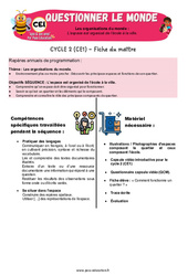 L’espace est organisé de l’école à la ville - Séquence + vidéo - Apis & ses amis : Primaire 2