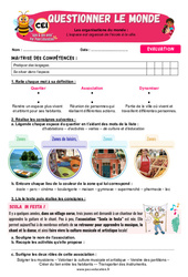 L’espace est organisé de l’école à la ville - Examen Evaluation - Apis & ses amis : Primaire 2 - PDF à imprimer