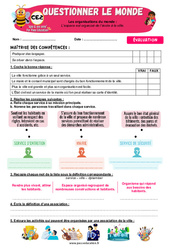 L’espace est organisé de l’école à la ville - Examen Evaluation - Apis & ses amis : Primaire 3 - PDF à imprimer
