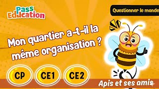 Mon quartier a - t - il la même organisation ? - Vidéo pédagogique - Apis & ses amis : Primaire 1, 2, 3
