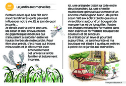 Le jardin aux merveilles - Lecture interactive  -  Luminéo - Niveau 3 : Primaire 1