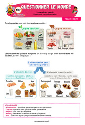 Hygiène de vie et alimentation - Cours, Leçon - Apis & ses amis : Primaire 1 - PDF à imprimer