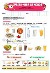 Hygiène de vie et alimentation - Exercices - Apis & ses amis : Primaire 1 - PDF à imprimer