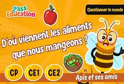 D’où viennent les aliments que l’on mange&nbsp;? - Vidéo - Apis & ses amis : Primaire 3