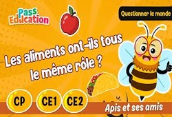 Les aliments ont - ils tous le même rôle&nbsp;? - Vidéo - Apis & ses amis : Primaire 3
