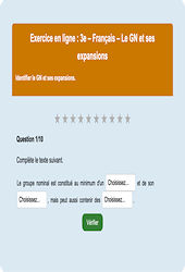 Groupe nominal et ses expansions - Fiches  - Exercice en ligne : Secondaire 3