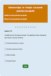 Accord de l'adjectif qualificatif - Fiches Exercice en ligne  - Fiches Français - Orthographe : Secondaire 3