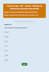 Les déterminants - Français  - exercice en ligne (1) : Primaire 4