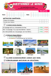 Les différents paysages à travers le monde - Examen Evaluation - Apis & ses amis : Primaire 1 - PDF à imprimer
