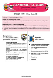 Les différents paysages à travers le monde - Séquence + vidéo - Apis & ses amis : Primaire 2 - PDF à imprimer