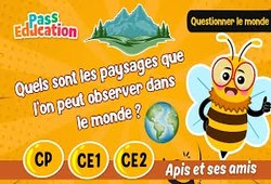 Quels sont les paysages que l’on peut observer dans le monde&nbsp;? - Vidéo - Apis & ses amis : Primaire 1, 2, 3
