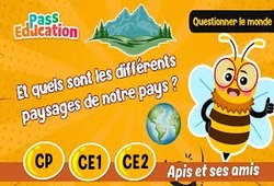 Et quels sont les différents paysages de notre pays&nbsp;? - Vidéo - Apis & ses amis : Primaire 1, 2, 3
