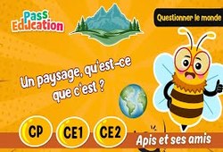 Un paysage, qu’est - ce que c’est&nbsp;? - Vidéo - Apis & ses amis : Primaire 1, 2, 3